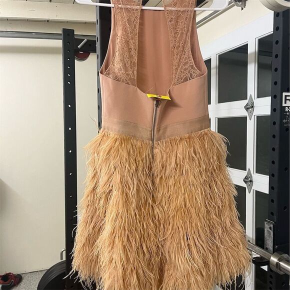 Alice + Olivia Philomena Lace High Neck Mini Dress Pink Feather Skirt Women's - Picture 10 of 14